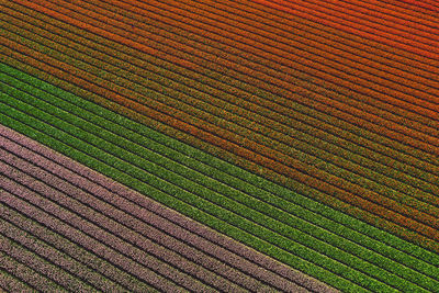 Full frame shot of red fabric