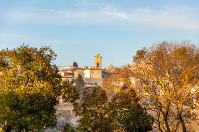 Trees and buildings against sky