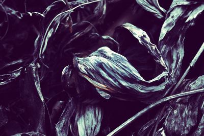 Full frame shot of white background