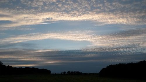 Silhouette trees on field against sky
