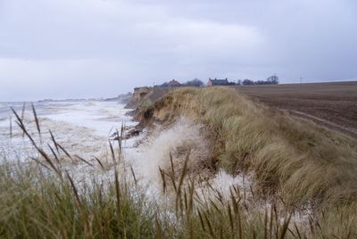 Scenic view of beach against sky