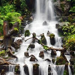Scenic view of waterfall
