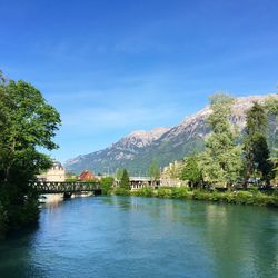 Scenic view of lake by trees against blue sky