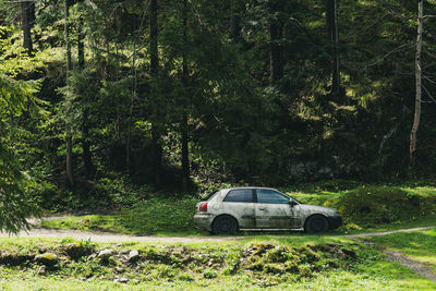 Car on road amidst trees in forest