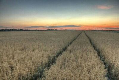 Scenic view of field against sky at sunset