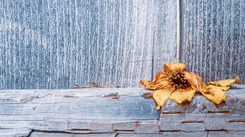 High angle view of dry leaves on wooden table