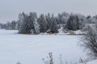 Trees on snow covered field against sky