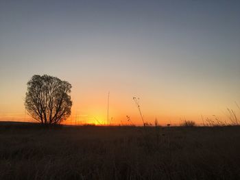 Silhouette trees on field against sky during sunset