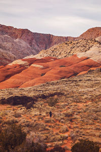 Father and son hiking on trail by the red sandstone cliffs