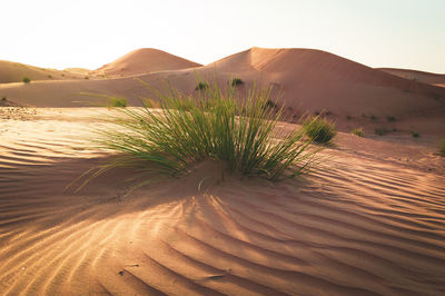 Scenic view of desert against clear sky