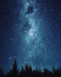 Silhouette trees in forest against sky at night