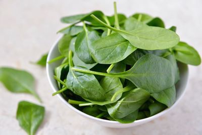 Close-up of green leaves