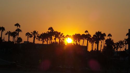 Silhouette palm trees against sky during sunset