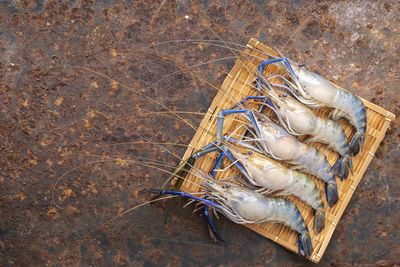 High angle view of fish in basket