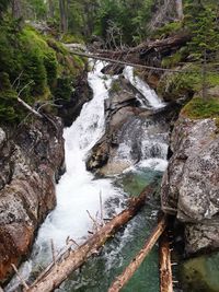 Stream flowing through rocks in forest