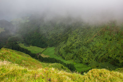 Scenic view of rural landscape