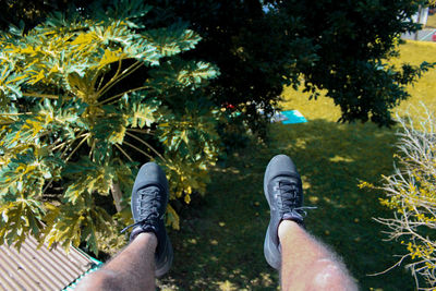 Low section of man standing by tree