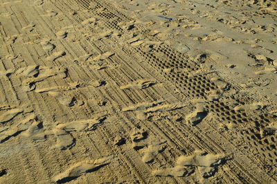 High angle view of footprints on sand