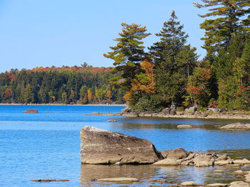 Scenic view of lake against clear sky during autumn