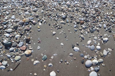 High angle view of stones on beach