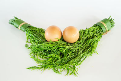 High angle view of vegetables on white background