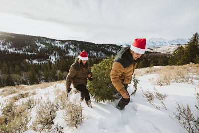 Couple cuts and drags chritmas tree in the mountains of wyoming christmas tree