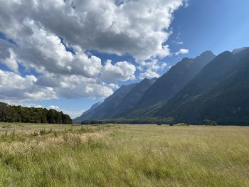 Scenic view of field against sky