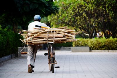 Rear view of man cycling on bicycle