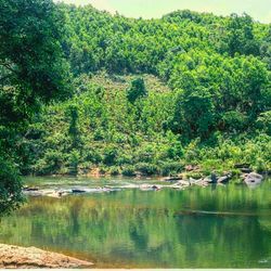 Scenic view of lake