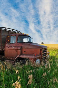 Abandoned vintage and rusty truck in the long grass of a farm field on a sunny day