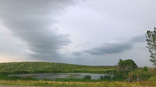 Scenic view of field against sky