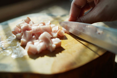 Midsection of person preparing food on cutting board