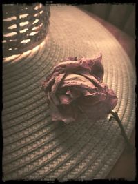 Close-up of flowers