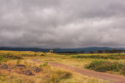 Scenic view of field against cloudy sky