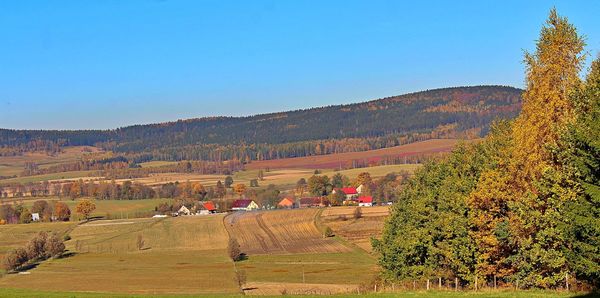 Scenic view of field against clear blue sky