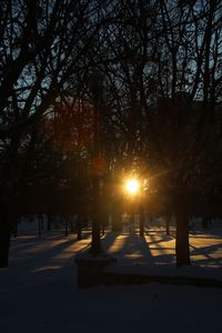 Silhouette trees against sky during winter