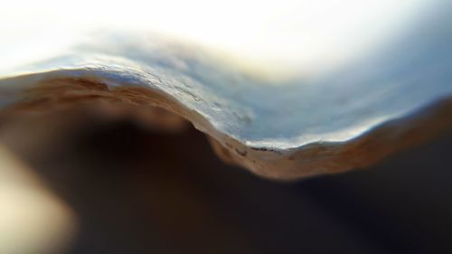 Close-up of ice on mountain against sky