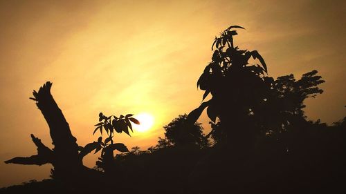 Low angle view of silhouette tree against sky at sunset
