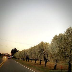 Road by trees against clear sky