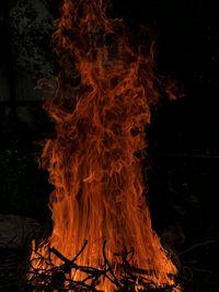 Close-up of fire at night