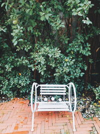 Empty bench in park