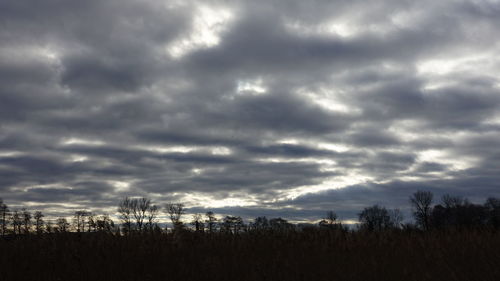 Silhouette trees against cloudy sky