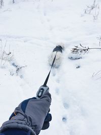 Cropped hand holding leash of dog on snow covered field