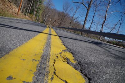 Surface level of road along bare trees