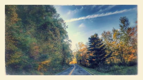 Road amidst trees in forest against sky