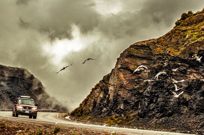 Birds flying over mountain against sky
