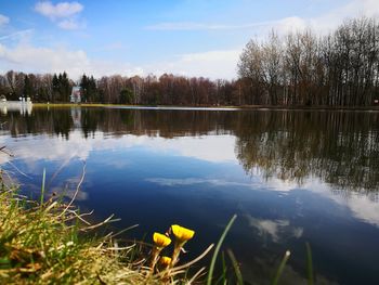 Scenic view of lake against sky