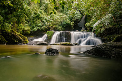 Waterfall in forest