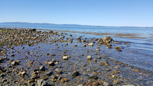 Rocks on beach against clear sky