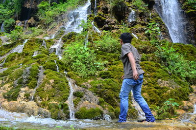 Rear view of man standing by waterfall in forest